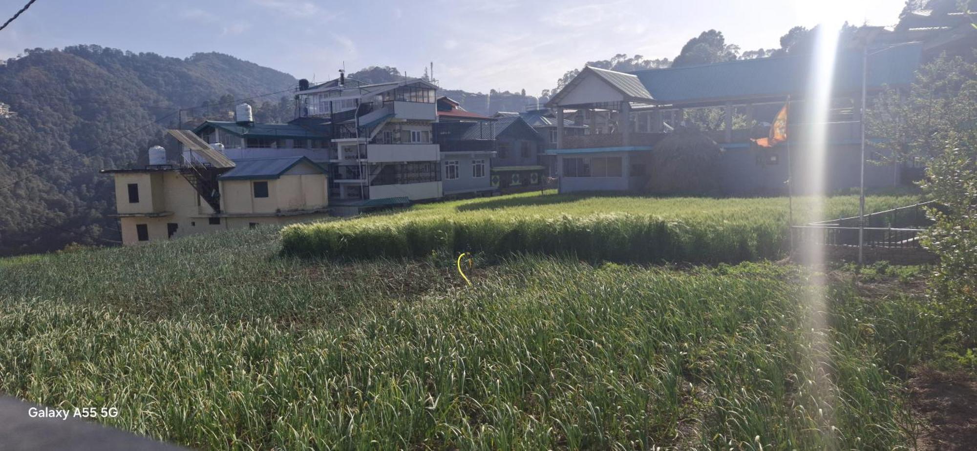 Keshav Niwas Homestay 西姆拉 外观 照片